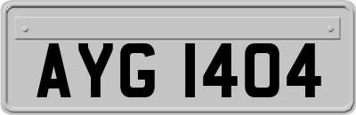 AYG1404