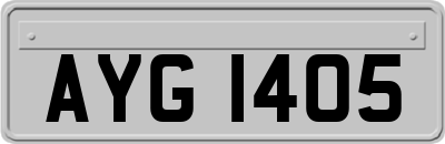 AYG1405