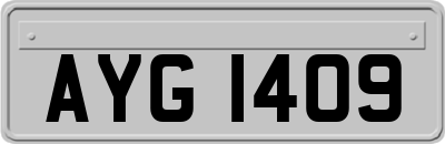 AYG1409