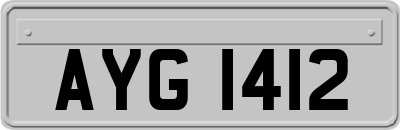 AYG1412