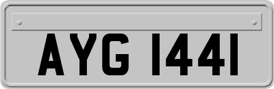 AYG1441