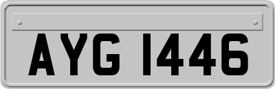 AYG1446