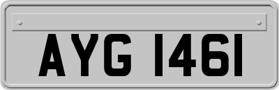 AYG1461