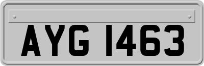 AYG1463