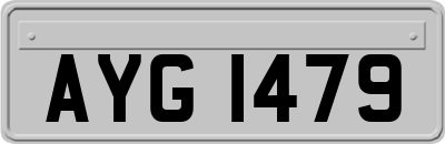AYG1479