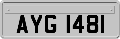 AYG1481