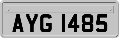AYG1485