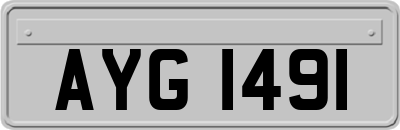 AYG1491