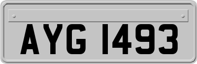 AYG1493