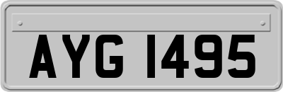 AYG1495
