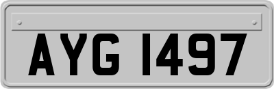 AYG1497