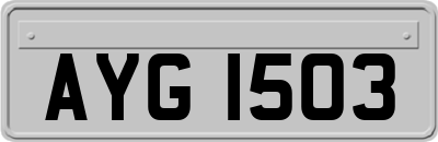 AYG1503