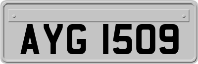 AYG1509