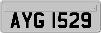 AYG1529