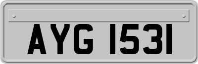 AYG1531