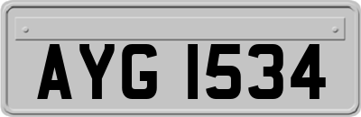 AYG1534