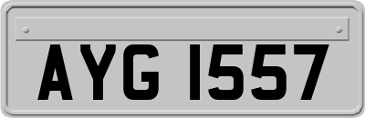 AYG1557