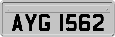 AYG1562