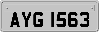 AYG1563