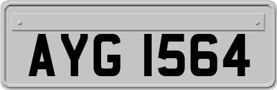AYG1564