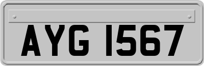 AYG1567