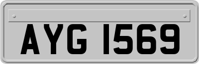 AYG1569