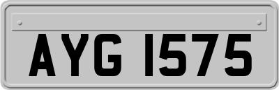 AYG1575
