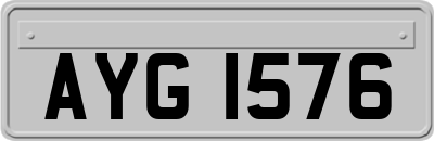 AYG1576