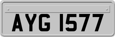 AYG1577