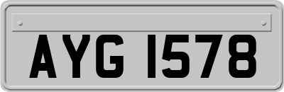 AYG1578
