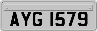 AYG1579