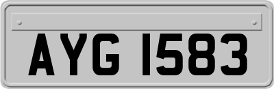 AYG1583