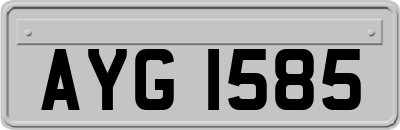 AYG1585