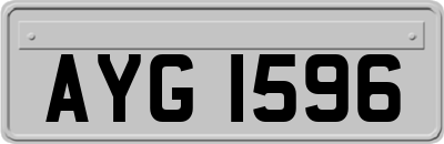AYG1596