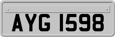 AYG1598
