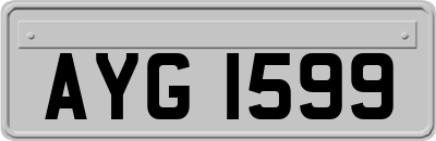 AYG1599