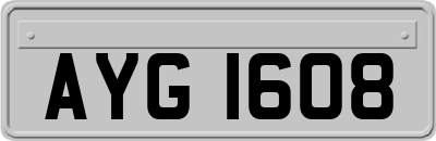 AYG1608