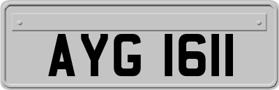 AYG1611