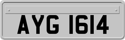 AYG1614