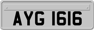 AYG1616