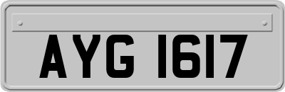 AYG1617