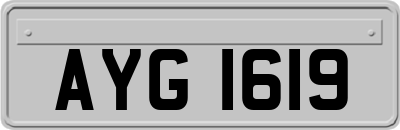 AYG1619