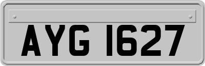 AYG1627