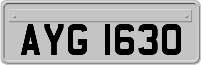 AYG1630