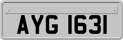 AYG1631
