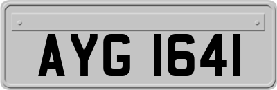 AYG1641
