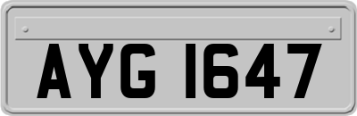 AYG1647