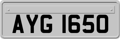 AYG1650