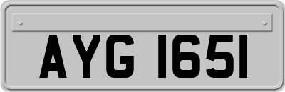 AYG1651