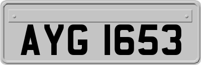 AYG1653